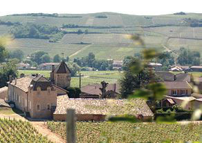 ../image/image_71/71_Pouilly_Fuisse_3.jpg